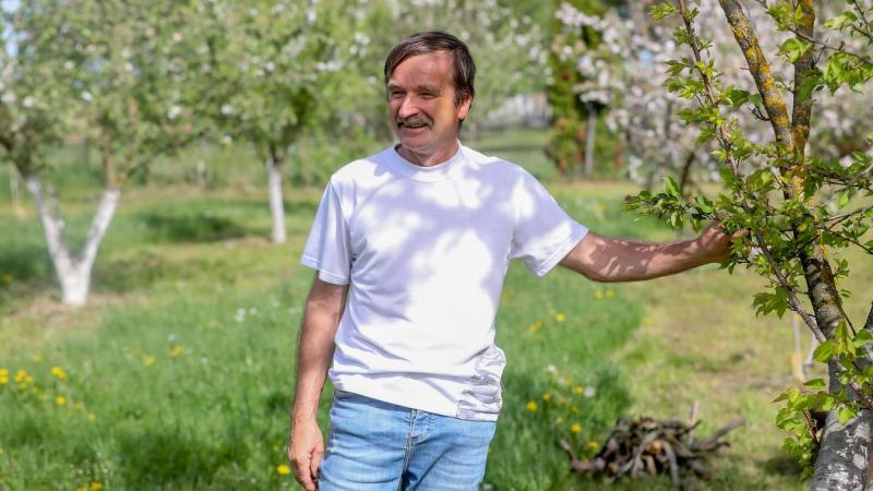Fedezd fel a fák újjászületésének csodáját - a Rádóckölkedi Tündérkert varázslatos világában tettünk látogatást, tele lenyűgöző fényképekkel!