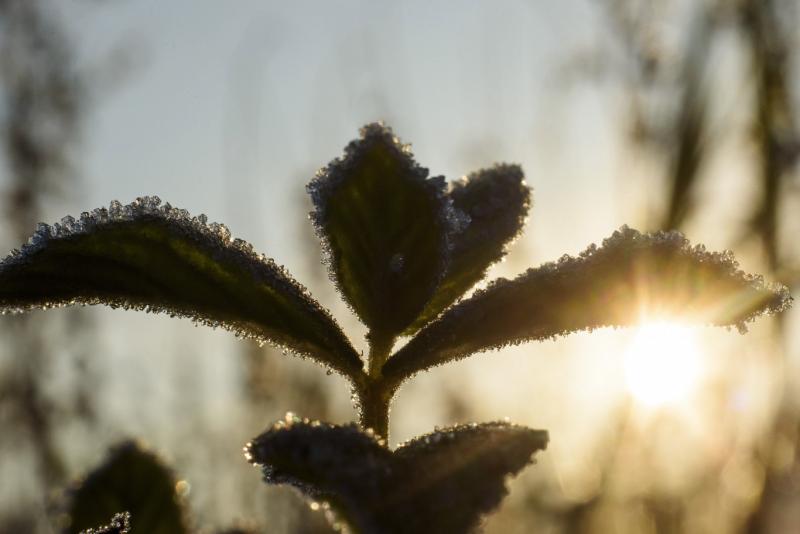 Zabaron új hidegcsúcsot állítottak fel: a hőmérő mínusz 4,6 Celsius-fokot mutatott!