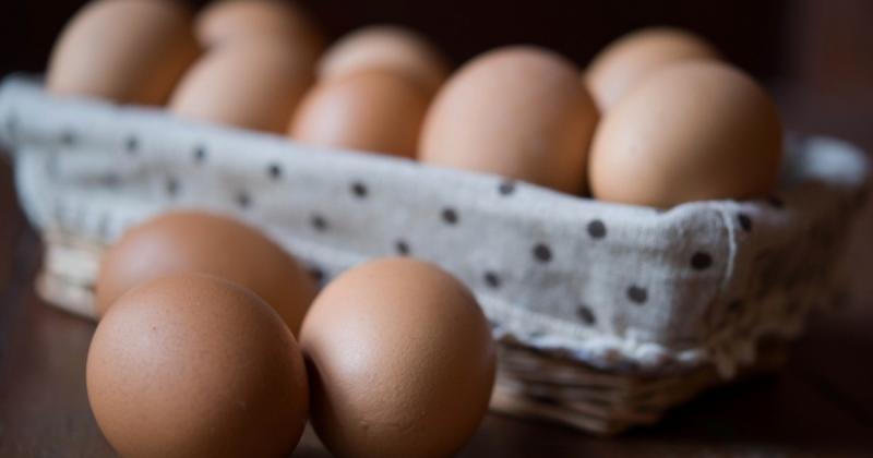 Ha ezt a jelzést találod a tojás héján, jobb, ha elbúcsúzol tőle: ne főzd meg, mert komoly egészségügyi problémákat okozhat!